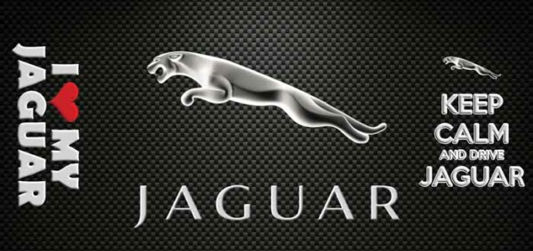 jaguar_salica